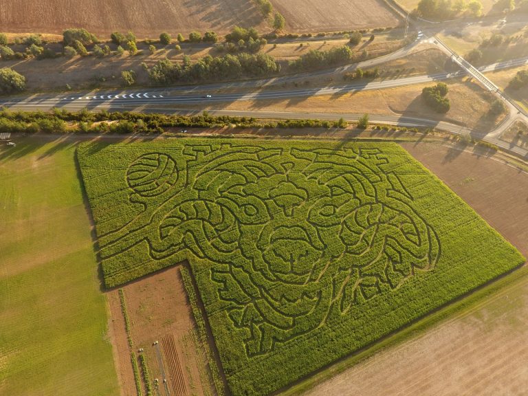 About the Crop Maze Rupertswood Farm Crop Maze