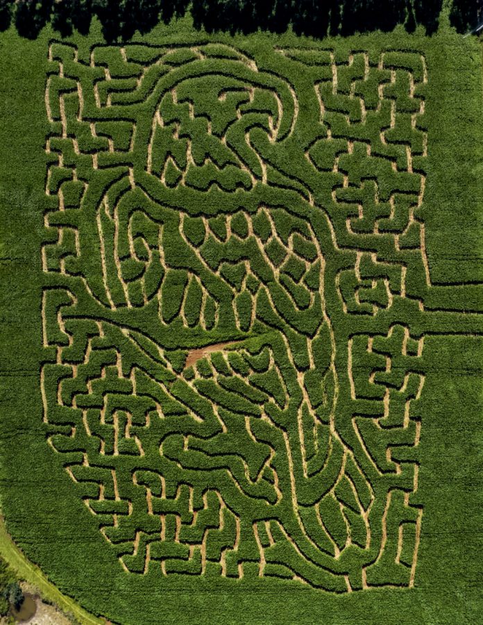 Rupertswood Farm 2023 Wedge Tailed Eagle design viewed from above (Image: TL Photography)